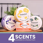 Shadazzle Natural All Purpose Cleaner and Polish – Eco friendly Multi-purpose Cleaning Product (2 Pack, Lavender)