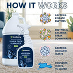 Pet Stain and Odor Remover - Cat Urine Enzyme Cleaner Destroyer, Urine Destroyer for Dogs, Pet Urine Enzyme Cleaner - 160 Oz
