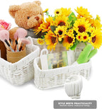 AceList Wall Hanging Basket, Boho Style Hand-Woven Hanging Storage Baskets - Set of 2, Ideal for Boho Room Decor, Kitchen, Garden, and Living Room