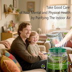 Formaldehyde Removal Gel, Powerful Deodorizer, Purifies the Air, Effectively Removes Odors and Formaldehyde from Homes, Laundry Rooms, Garages, Basements, RVs, and Other Places,9Oz