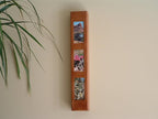 InstaHanger Picture Perfect Closet Organizer, The Original Folding Drying Rack, Wall Mount