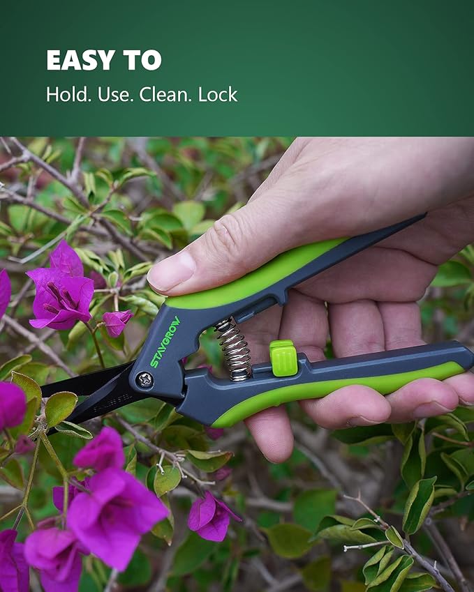 6.5" Pruning Shears for Gardening, Sharp Plant Trimming Scissors for Precise Cuts, Stainless Steel Garden Scissors Bonsai Clippers (1-Pack Curved)