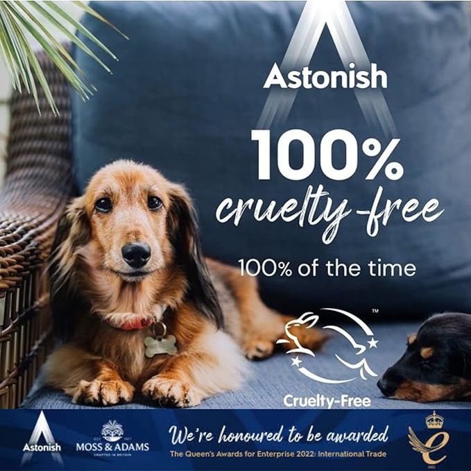 Astonish Zesty Lemon Scented Kitchen Cleaner 3 Pack - All Purpose Cleaning Solution Removes Grease, Grime, & Surface Stains - Cruelty Free Kitchen Grease And Multi Surface Cleaner - 750ml Spray Bottle