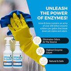KINZUA ENVIRONMENTAL Urine B-Gone, Professional Enzyme Odor Eliminator & Pet Stain Remover, Human, Cat & Dog Urine Cleaner, Effective on Laundry, Carpets & More, Citrus Scent, 32oz, Pack of Two