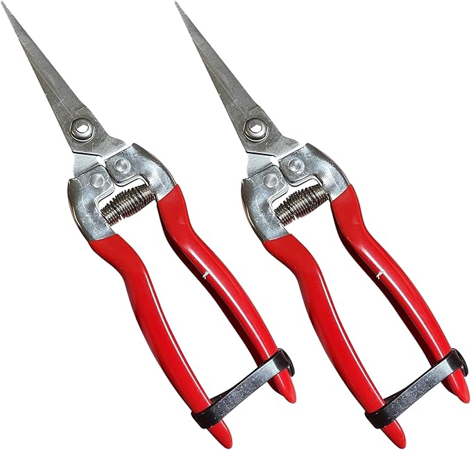 GARDEN GURU Straight Stainless Steel Pruner Pruning Shears Clippers Snips Sharp Bonsai Cutter Plant Trimming Scissor Straight Blade Garden Scissors Tool -Great for Roses Flowers Herbs Fruits (2 Pack)