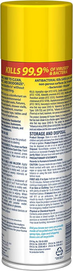 Sprayway All Purpose Cleaner with Lemon Scent, 19oz, Pack of 6 | Foaming Action, Clean, Disinfect, Deodorize | Tough on Grease, Soap Scum, Grime | EPA Approved, Kills 99.9% of Viruses & Bacteria
