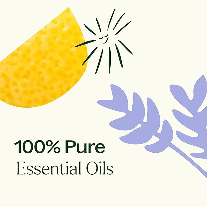 Plant Therapy Sleep Easy Essential Oil Blend Set 10 mL (1/3 oz) Each of Relax, Sleep Tight & Unwind, Pure, Undiluted, Essential Oil Blends