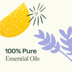 Plant Therapy Sleep Easy Essential Oil Blend Set 10 mL (1/3 oz) Each of Relax, Sleep Tight & Unwind, Pure, Undiluted, Essential Oil Blends