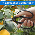 VISEMAN Japanese Bonsai Pruning Scissors-KinTakashi Gardening Shears for Bonsai Trimming
