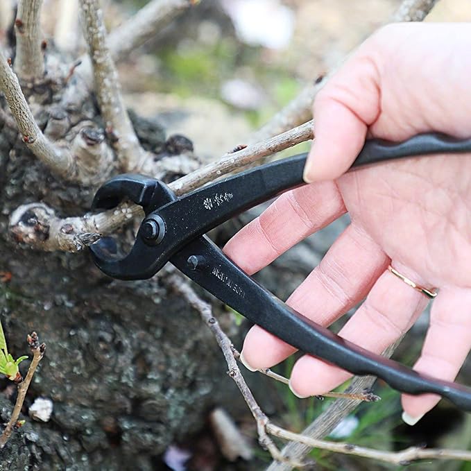 Wazakura Hanafubuki Hand Forged Bonsai Tree Trunk Splitter, Made in Japan 8.25inch(210mm), Branch Cutter Japanese Garden Tool - 8.25inch(210mm), Black