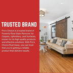 Pro's Choice Rust Away Rust Remover - Powerful Stain Remover & Rust Cleaner - Rust Stain Remover for Carpets, Upholstery, and Surfaces - Bathroom Stain Remover for Multiple Surfaces (16 fl. oz)