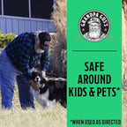 Grandpa Gus's Natural Pest Killer Spray, Ready-to-Use Indoor and Outdoor Insect Control, Kills Ants, Roaches, Spiders, Fleas, Ticks, Hornets, Wasps and More, Safe for Kids and Pets, 16 fl oz