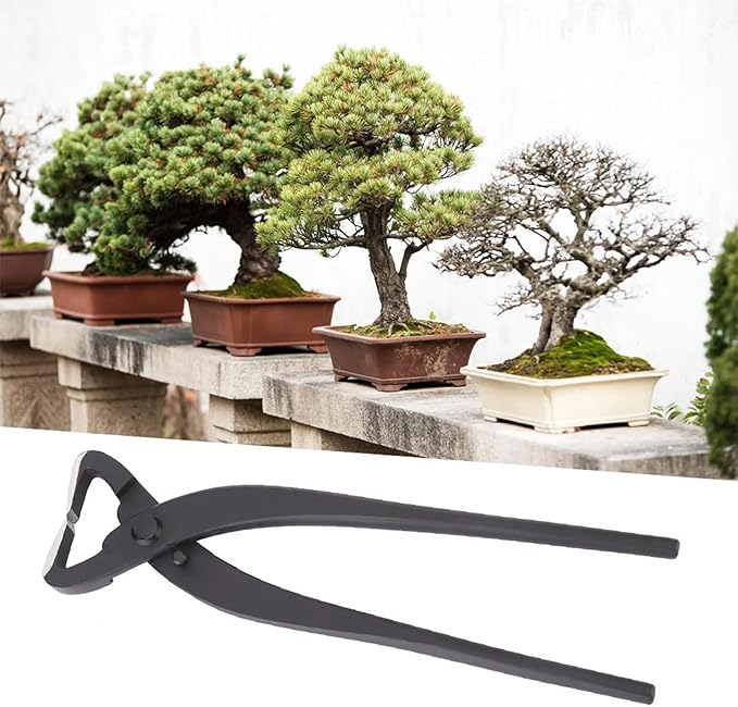 Bonsai Tools,Bonsai Pruning Scissors, 210mm Steel Plant Trunk Splitter, Garden Modeling Tool bonsai tools and supplies,potting tools,Gardening Scissors,