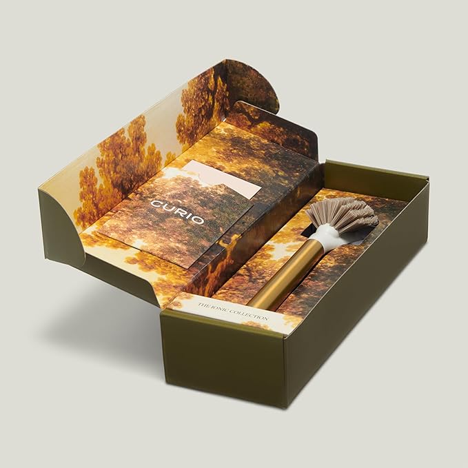 Ionic Dish Brush, Magnetized to Stand Upright, Stainless Steel with Replaceable Head, Silver