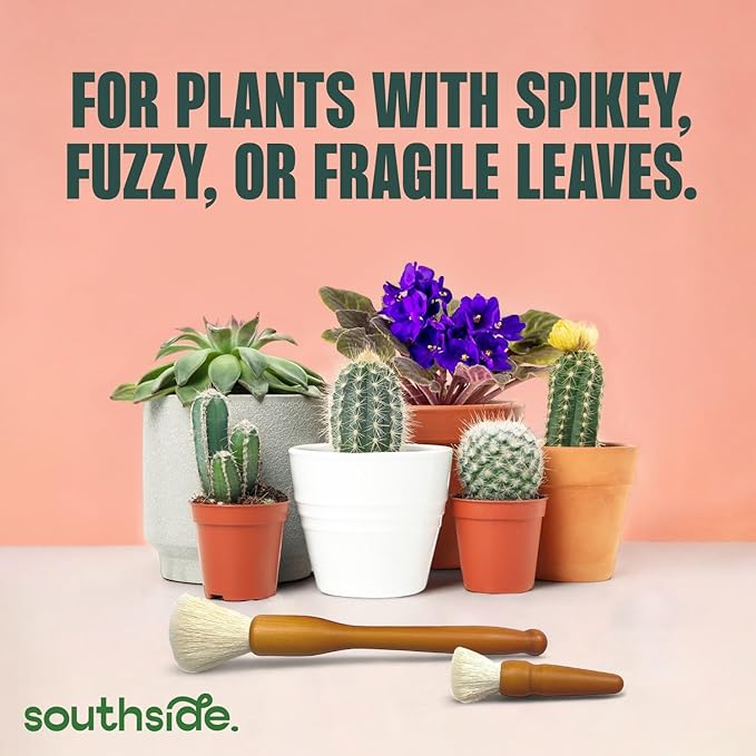 Southside Plant Cactus & Succulent Plants Cleaning Brushes - Wooden Handles w/Soft Goat Hair Bristles - Garden Cleaning Tools, Gentle on Plants, 7" & 3.2" Sizes - Pack of 2