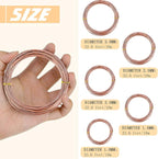 10 Rolls Bonsai Wires Anodized Aluminum Bonsai Training Wire in 5 Sizes - 1.0 mm, 1.5 mm, 2.0 mm, 2.5 mm, 3.0 mm, Total 164 Feet (Brown)