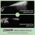 2500W Steam Cleaner - Adjustable 6-Level Steam Control, 15s Fast Heat, 1.6QT Water Tank, Portable High-Pressure Steamer for Home, Car, Grout