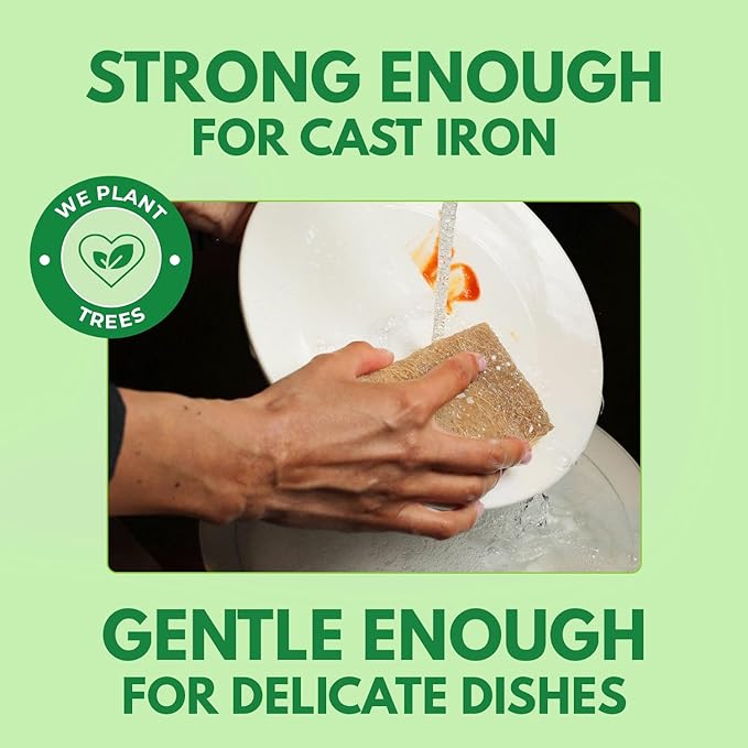 Biodegradable Natural Kitchen Sponges Pack of 6 - Cellulose and Coconut Walnut Scrubber Sponge - Eco Friendly Sponges for Dishes