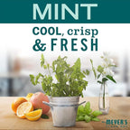 MRS. MEYER'S CLEAN DAY Liquid Dish Soap, Biodegradable Formula, Limited Edition Mint, 16 fl. oz - Pack of 3