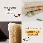 Natural Loofah Dish Sponge (Pack 4) - Vegetable Scrubber for Kitchen - 100% Biodegradable Compostable Dishwashing Scouring Pad Zero Waste