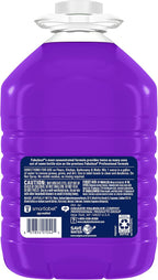 Fabuloso Professional All Purpose Cleaner & Degreaser - Lavender, 1 Gallon (Pack of 2)