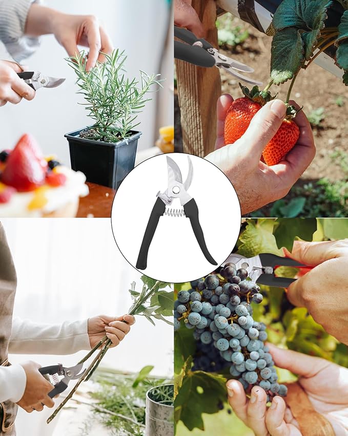 Pruning Shears for Gardening, 1 Pack Garden Scissors for Cutting Fresh Flowers, Floral Clippers for Plants, Fruits (Black)
