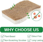 Natural Kitchen Sponge,12 Pack Kitchen Dish Sponge with Coconut Fiber and Compostable Cellulose, Natural Household Cleaning Sponge for Dishes,Pots,Sinks