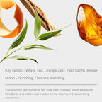 AromaTech White Tea Aroma Essential Oil Blend: Luxury Hotel Inspired Aromatherapy with White Tea, Orange & Palo Santo for Ultrasonic Diffusers & Nebulizers - 16 fl oz, 500 mL