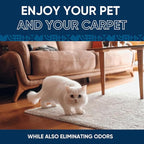 Oxy Pet Carpet Cleaner Spray | Pet Stain Remover for Pet Urine, Cat Pee, Dog Poop | Deep Spot Treating Action on Carpeting, Upholstery, Laundry, Pet Beds & More (128 Fl Oz)