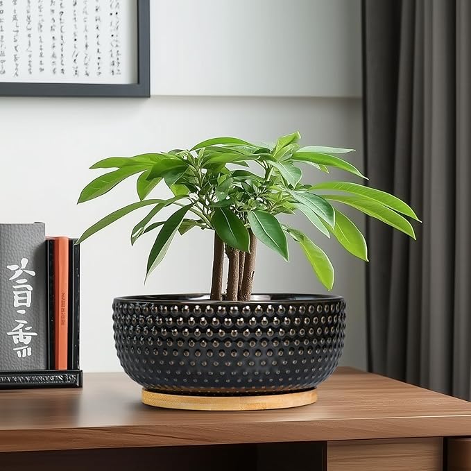 Bonsai Tree Pot - 8 Inch Ceramic Succulent Planters with Drainage and Plant Tray, Boho Round Shallow Bowl for Indoor Plants, Office Decor, Housewarming Gift, Black