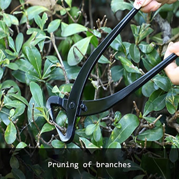 Bonsai Tools,Bonsai Pruning Scissors, 210mm Steel Plant Trunk Splitter, Garden Modeling Tool bonsai tools and supplies,potting tools,Gardening Scissors,