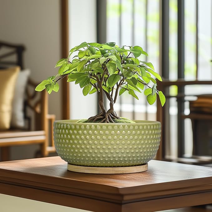 Bonsai Planter - 8 Inch Ceramic Succulent Pots with Drainage Hole and Saucer for Indoor Plants, Boho Shallow Round Planter Bowl, Desk Decor, Garden Lover Gifts, Green