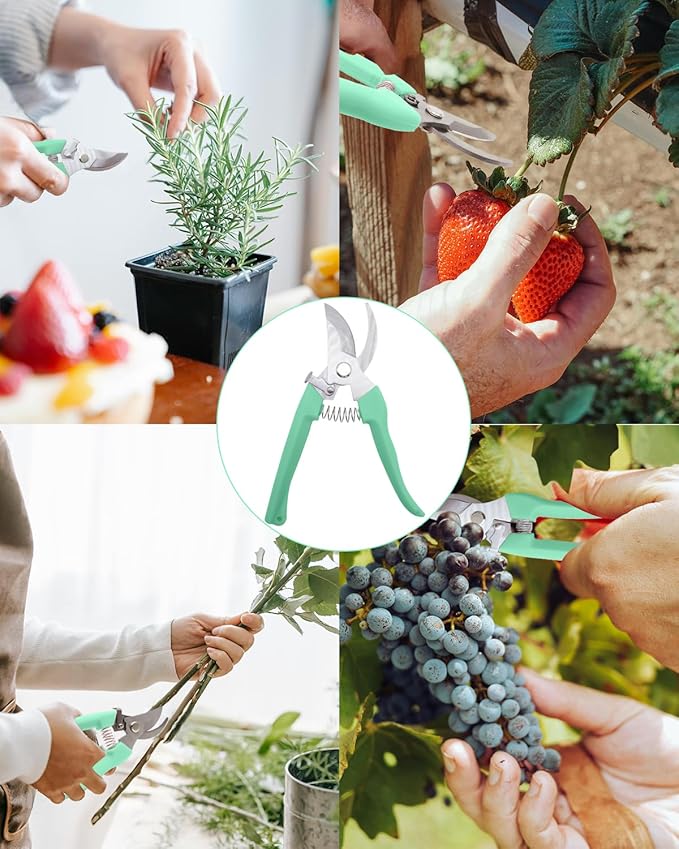 Pruning Shears for Gardening, 4 Pack Garden Scissors for Cutting Fresh Flowers, Floral Clippers for Plants, Fruits (Green)