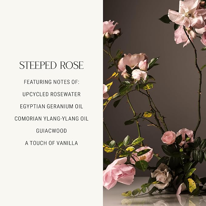 Homecourt Dish Soap, Dishwashing Liquid with Clean Ingredients, Non-Toxic & Skin-Safe, Safe for People & Pets, Steeped Rose, 16 fl oz