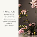 Homecourt Dish Soap, Dishwashing Liquid with Clean Ingredients, Non-Toxic & Skin-Safe, Safe for People & Pets, Steeped Rose, 16 fl oz