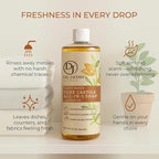 Dr. Jacobs Naturals Almond Castile All-in-One Cleaner and Soap - Plant-Based Formula for House Cleaning Floors and Appliances - Gentle on Skin and the Planet - 32 oz, 1 Pack