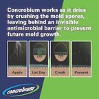 Concrobium Mold Control Aerosol, 14.1 oz – Eliminates & Prevents Mold – EPA Registered, Bleach-Free, Odorless, VOC-Free – For Indoor & Outdoor Surfaces, Mid-Sized Jobs, and Hard-to-Reach Areas