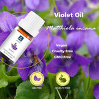 Violet Essential Oil Fragrance Oil - Natural Perfume for Aromatherapy, Perfume Making, Candles, Soap, Room Spray, Diffuser Blends - Pure Fragrance, 10mL Undiluted - Pack of 2