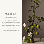 Homecourt Dish Soap, Dishwashing Liquid with Clean Ingredients, Non-Toxic & Skin-Safe, Safe for People & Pets, Neroli Leaf, 16 fl oz