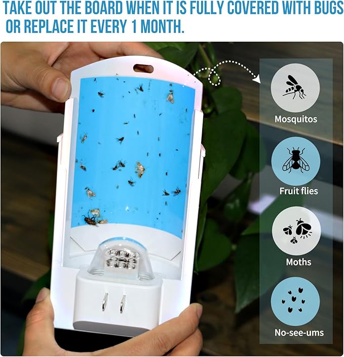 2-Pack Flying Insect Trap with 8 Refills - Plug-in Fruit Fly Trap for Indoor, Bug Zapper for Gnats, Fruit Flies & House Flies | Blue & UV Light Attraction | Mess-Free Disposal
