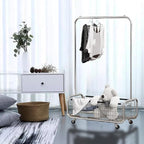 AUGMIRR Garment Rack With Storage Baskets,Clothing Rack for Hanging Clothes, Multi-functional Bedroom Clothes Rack with Wheels for Bedroom, Living Room, Easy Assembly (40inch lenght)