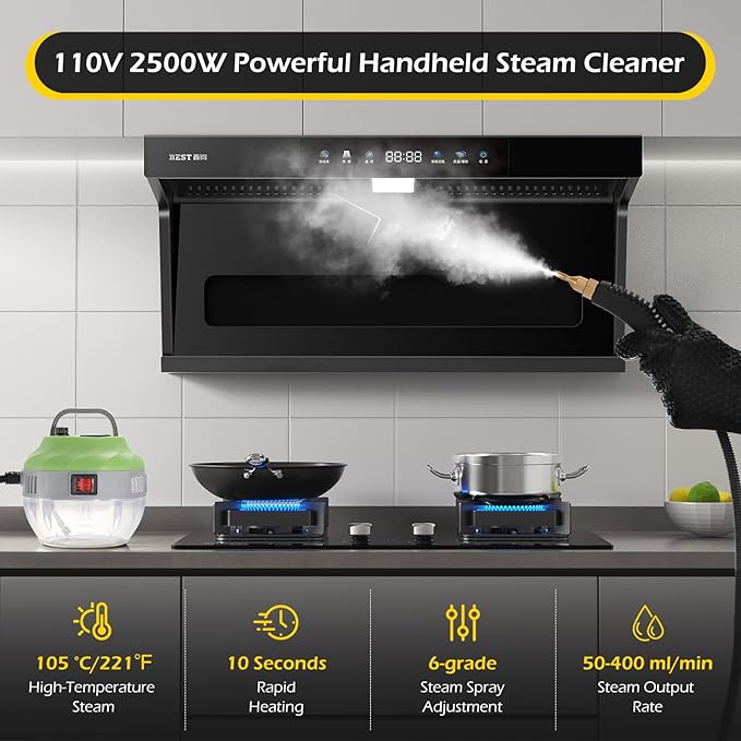 Dyna-Living Steam Cleaner 2500W Steamer for Cleaning with 1400ml Water Tank Steam Cleaner Handheld for Home Use, High-Pressure Steamer Cleaner for Car, Portable Car Steamer for Auto Detailing, Green