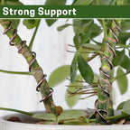 Bonsai Training Wire Set of 4, Total 128 Feet (32 Feet Each Size) 3 Size - 1.0MM, 1.5MM, 2.0MM, Corrosion and Rust Resistant