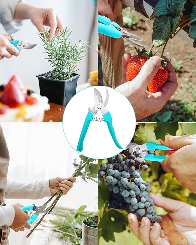 Pruning Shears for Gardening, 2 Pack Garden Scissors for Cutting Fresh Flowers, Floral Clippers for Plants, Fruits (Blue)