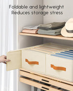 Homsorout Closet Organizers and Storage - Fabric Clothes Organizer with Handles, Foldable Jeans Organizer for Clothes, Drawer Organizer for Shirts, Bra, Sweater, Scarf, 8 Pack, Beige