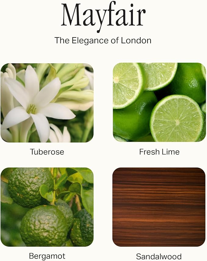 Signature Set, Includes All Purpose Cleaner, Dish Soap, Hand Wash, Hand Cream, & Scented Candle, Mayfair