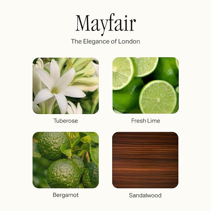 Dish Soap, Clean Ingredients, Tough on Grease & Residue, Safe for People & Pets