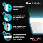Catchmaster Vector Optima Light Trap, UV Light Fly Traps for Home, Gnat Traps for House Indoor, Shatterproof Bulbs, UV Lamp Insect Killer, Bug Catcher for Kitchen, Garage, & Warehouse - White