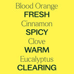 Plant Therapy Germ Fighter Essential Oil Blend Pure, Natural Aromatherapy, for Diffusion & Topical Use, DIY Multi-Surface Cleaner, Hand Cleanser, Home or Office Use, Therapeutic Grade 10 mL (1/3 oz)