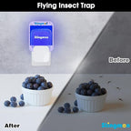 Indoor Fly Trap (1 Indoor Bug Zapper + 6 Refills) Plug-in Flying Insect Trap Fruit Fly Traps for Indoors with UV Light Gnat Traps for House Indoors Gnat Killer Home Office
